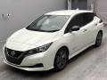 2021 Nissan Leaf