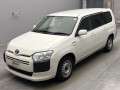 2020 Toyota Probox
