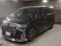2020 Toyota Alphard
