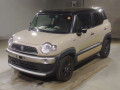 2019 Suzuki XBEE