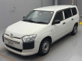 2020 Toyota Probox
