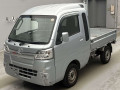 2019 Daihatsu Hijet Truck