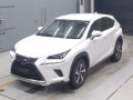 2021 Lexus NX