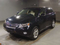 2010 Lexus RX