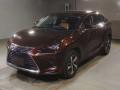 2019 Lexus NX