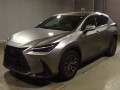 2025 Lexus NX