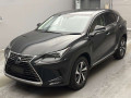 2019 Lexus NX