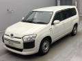 2019 Toyota Probox