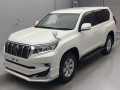 2020 Toyota Land Cruiser Prado