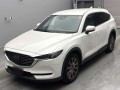 2019 Mazda CX-8