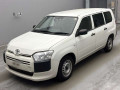 2020 Toyota Probox