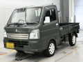 2021 Suzuki Carry Truck