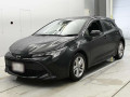 2021 Toyota Corolla Sports