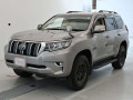 2019 Toyota Land Cruiser Prado
