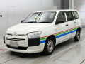 2020 Toyota Probox