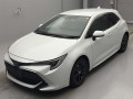 2021 Toyota Corolla Sports