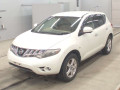 2010 Nissan Murano