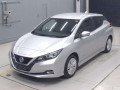 2021 Nissan Leaf