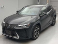 2019 Lexus UX