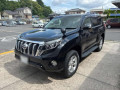 2014 Toyota Land Cruiser Prado
