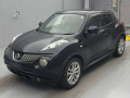 2011 Nissan JUKE