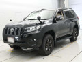 2019 Toyota Land Cruiser Prado