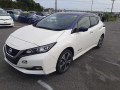 2021 Nissan Leaf