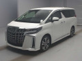 2020 Toyota Alphard
