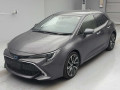 2021 Toyota Corolla Sports