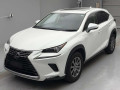 2019 Lexus NX