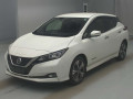 2019 Nissan Leaf