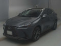2024 Lexus NX