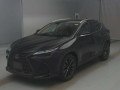 2023 Lexus NX