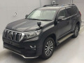 2019 Toyota Land Cruiser Prado