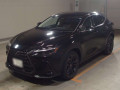 2024 Lexus NX