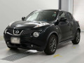 2013 Nissan JUKE