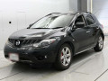 2010 Nissan Murano