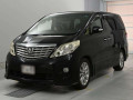 2010 Toyota Alphard