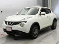 2011 Nissan JUKE