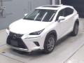2020 Lexus NX