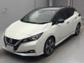2020 Nissan Leaf
