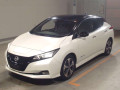 2021 Nissan Leaf
