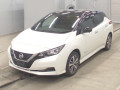 2019 Nissan Leaf