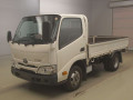 2019 Toyota Dyna Truck