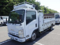 2009 Isuzu Elf Truck
