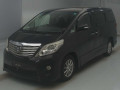 2009 Toyota Alphard