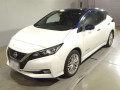 2019 Nissan Leaf
