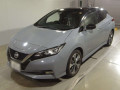 2020 Nissan Leaf