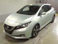 2019 Nissan Leaf
