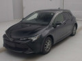 2019 Toyota Corolla Sports
